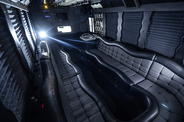 20 Passenger Party Bus, Professional Chauffeur Service