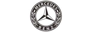 Professional Chauffeur Service